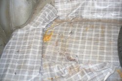 130514 67 Ford Mustang (30).JPG